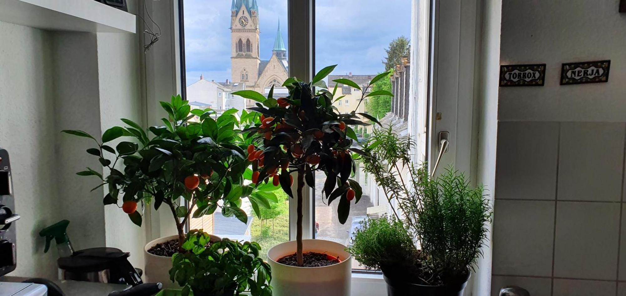 Von Privat, Grosses Zimmer Sehr Zentral In Bad Homburg Stadtmitte 巴特洪堡 外观 照片